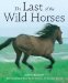 Last of the Wild Horses cover