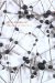 Heide Fasnacht : Strange Attractors cover