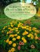 Gardens of the Hudson River Valley : An Illustrated Guide cover