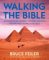Walking The Bible : An Illustrated Journey For Kids Through The Greatest Stories Ever Told cover