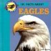 101 Facts About Eagles cover