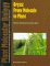 Oryza : From Molecule to Plant cover