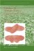 Catalysts For Nitrogen Fixation : Nitrogenases, Relevant Chemical Models And Commercial Processes cover