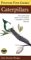  Peterson First Guide to Caterpillars of North America