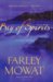 Bay of Spirits : A Love Story cover