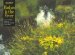 Flashes in the River : The Flyfishing Images of Arthur Shilstone and Ed Gray cover