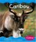 Caribou cover