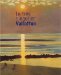 Le Tres Singulier Vallotton : Lyon, Musee Des Beaux-Arts, 21 Fevrier-20 Mai 2001  Marseille, Musee Cantini, 22 Juin-10 Septembre 2001 cover