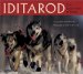 Iditarod : The Great Race to Nome cover