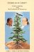 Exemplar of Liberty : Native America and the Evolution of Democracy cover