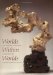 Worlds Within Worlds : The Richard Rosenblum Collection of Chinese Scholars' Rocks cover