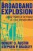 The Broadband Explosion : Leading Thinkers On The Promise Of A Truly Interactive World cover