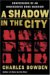 A Shadow in the City: Confessions of an Undercover Drug Warrior