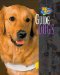 Guide Dogs cover