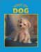 Dog cover