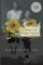 Evidence of Things Unseen : A Novel cover