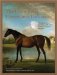 The Lyons Press Horseman's Dictionary : Full Explanations of More Than 2,000 Terms and Phrases Used by Horsemen cover