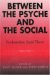 Between the Psyche and the Social : Psychoanalytic Social Theory cover