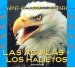 Las Aguilas Y Los Halietos cover
