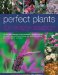 Perfect Plants for Every Season cover