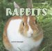 Rabbits cover
