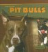 Pit Bulls cover