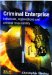 Criminal Enterprise : Individuals, Organisations and Criminal Responsibilities cover