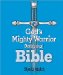 God's Mighty Warrior Devotional Bible cover