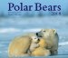 Polar Bears 2008 Calendar cover