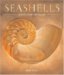 Seashells : Jewels from the Ocean cover