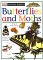 Butterflies and Moths cover