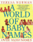 A World of Baby Names