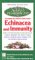  Everything You Need to Know About Echinacea and Immunity