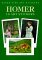 Homer cover