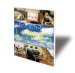 Allergy-Free Living : How to Create a Healthy, Allergy-Free Home and Lifestyle cover