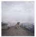 Alec Soth : Dog Days Bogota cover