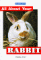 All About Your Rabbit cover