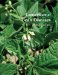 Compendium of Bean Diseases cover