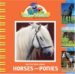  My First Book About Horses and Ponies