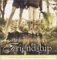 The Joyous Gift of Friendship:Images of Life Celebration : Images of Life Celebrations cover