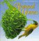 Animal Homes : A National Geographic Action Book cover