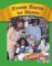 From Farm to Store : Set C cover