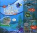 Sea Creatures : Sharks and Their Friends cover