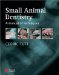 Small Animal Dentistry : A Manual of Techniques cover