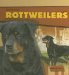 Rottweilers cover