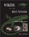 Wildlife of the Mid-Atlantic : A Complete Reference Manual cover