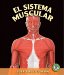 El Sistema Muscular/ The Muscular System cover