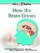 How the Brain Grows cover
