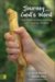 Journey into God's Word : Your Guide to Understanding and Applying the Bible cover
