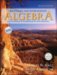 Beginning and Intermediate Algebra cover